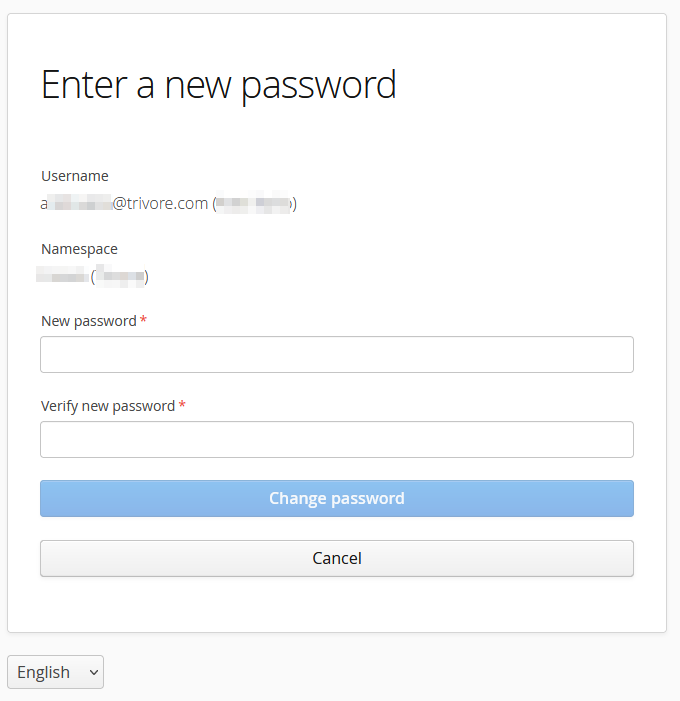 Form for entering new password